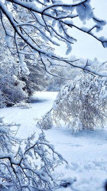 Kış Sahnesi Gölün Üzerinde