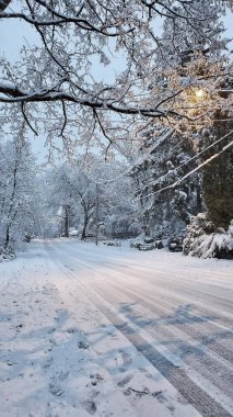 Alacakaranlıktaki Karlı Sokak