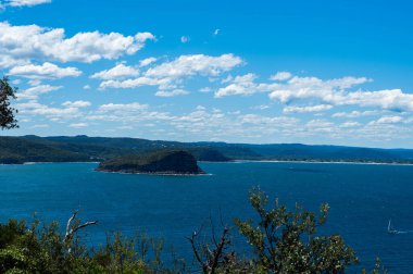 Palmiye Sahili Adası Avustralya