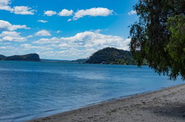 Palm Beach, Sidney 'in kuzey sahillerinde bir banliyö.