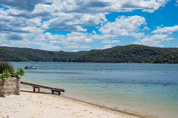 Palmiyenin iniş noktası