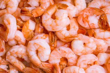 Buzlu makroda haşlanmış karides.
