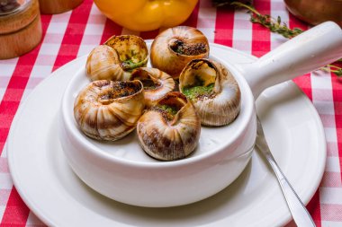 Burgonya üzümlü salyangozlar, yaklaşın.