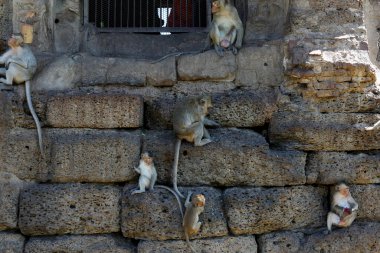 Phra Prang Sam Yot, Lop Buri Eyaleti, Tayland