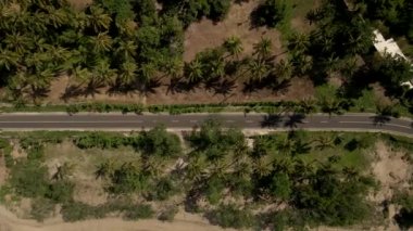 Yol manzarası, palmiye ağaçları, ormanlar. Lombok. Tropikal ada. Bali