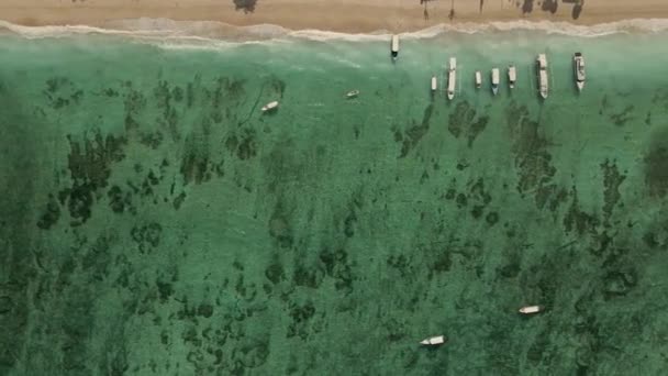 Flygdrönare Skott av Nusa Lembongan stranden med båtar och rev. Turkosa havet — Stockvideo