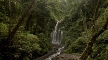 Rinjani, Lombok yakınlarındaki Terjun Tiu Kelep Şelalesi hava manzaralı. Yeşil Manzara.