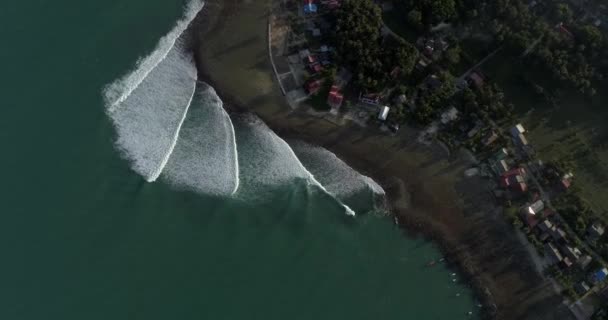 インドネシアの野生の島。スマトラ、テロス熱帯の楽園。ドローン航空 — ストック動画