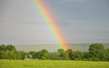 Yağmurdan sonra gökyüzünde parlak gökkuşağı. bulanık