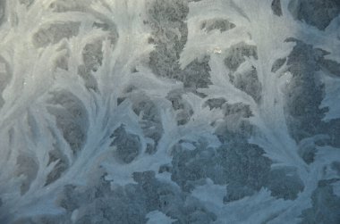 Camın üzerinde donmuş buz kristalleri olan soyut kış arka planı. Doğal buz kristallerinin bir pencere camında güzel donmuş desenler oluşturması. Soğuk kış sabahı dokusu. Soyut buzlu dantel tasarımı.