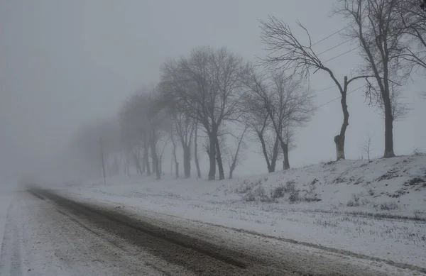 Tehlikeli sürüş koşulları, düşük görüş mesafesi. Kışın yoğun sise doğru uzanan boş bir yol. Karla kaplı yollar ve ağaçlar sisli havada görüş mesafesini kaybediyor. Belirsizlik, bilinmeyen gelecek ve sessizlik kavramı..