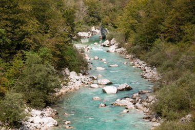 Zümrüt yeşili Soca nehri Slovenya 'nın kayalık ormanlarında yolunu buluyor