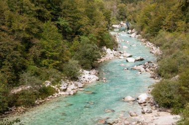 Zümrüt yeşili Soca nehri Slovenya 'nın kayalık ormanlarında yolunu buluyor