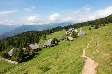 Slovenya 'daki dağlık Zajamniki otlağına bakın