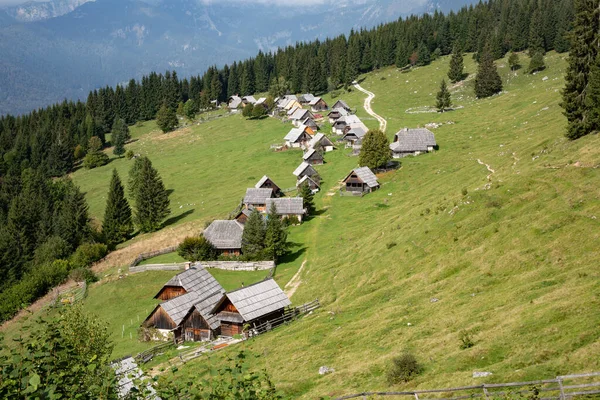 Widok na alpejskie pastwisko Zajamniki w Słowenii — Zdjęcie stockowe