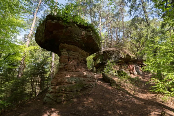 Formação rochosa de arenito chamada Hexenpilz perto de Dahn, Renânia-Palatinado, Alemanha — Fotografia de Stock