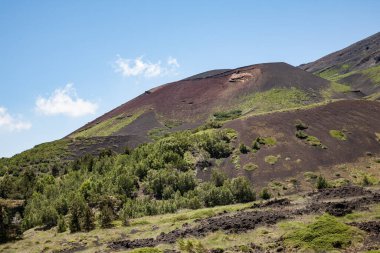 Monti Sartorius, İtalya 'nın Sicilya bölgesindeki Etna Dağı' nın kuzey doğu kanadında bir yanardağ grubu.