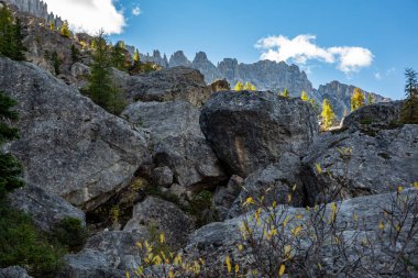Latemar Massif 'in altındaki kaya sahası, Güney Tyrolean Dolomitleri, İtalya