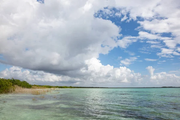 Vista sobre Laguna Chunyaxche, una laguna cerca de Tulum, Quintana Roo, península de Yucatán, México — Foto de Stock