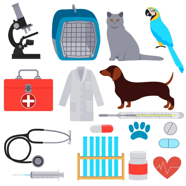 Set Veterinario. Equipamiento y herramientas para clínica veterinaria. Ilustración vectorial — Vector de stock