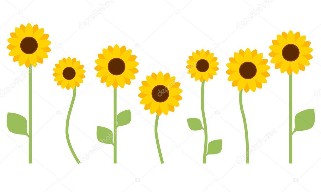 Sunflower with leaves isolated on white background. Flat design for poster or t-shirt. Vector illustration