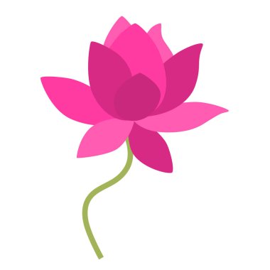 Güzel pembe su zambağı. Poster ya da tişört için düz tasarım. Vektör illüstrasyonu