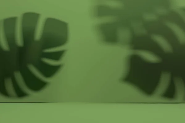 熱帯モンスターの葉の影と緑のスタジオの背景。3Dレンダリング — ストック写真