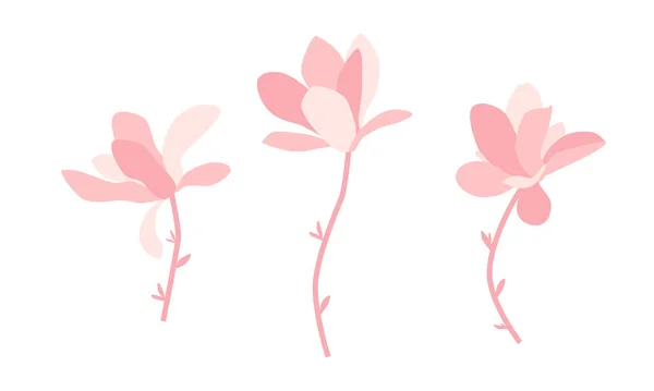 Set of pink magnolia flowers. Flat design for poster or t-shirt. Vector illustration — Stock Vector