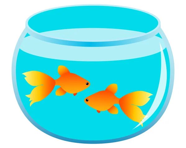 Пара золотих рибок в акваріумі. Векторні ілюстрації — стоковий вектор