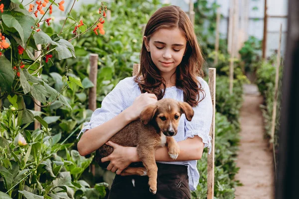 Bonito Menina Anos Idade Carregando Cesta Bela Flor Campo Flores — Fotografia de Stock