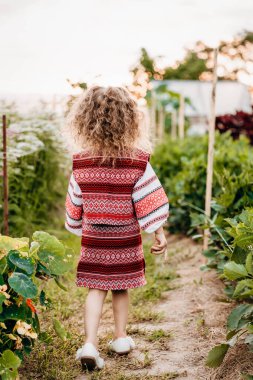 Ukrayna folkloru işlemeli bir elbise giymiş, çiçekli bir fotoğraf için poz veren tatlı bir kızın portresi.