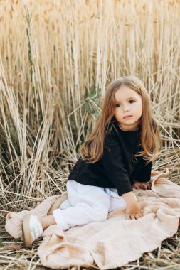 Şık elbiseli bir kız batan güneşin ışınlarında olgunlaşmış buğday tarlasında yürüyor. Buğday kulağı. Çavdar ekmeği. Seçici odaklanma. Güneş batıyor. Çavdar tarlasında yürü.