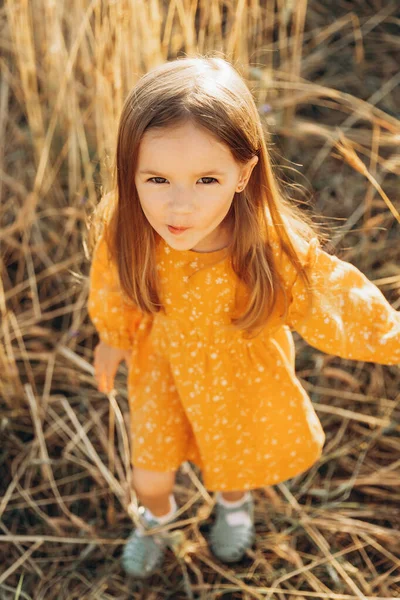Маленька Гарна Усміхнена Дівчинка Полі Золотої Пшениці Дівчата Полі Мила — стокове фото