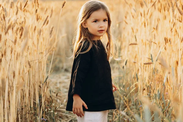 Yaşında Güzel Bir Kız Gün Batımında Buğday Tarlasında Poz Veriyor — Stok fotoğraf