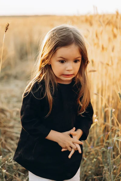 Досить Річна Дівчинка Гуляє Позує Фотографією Пшеничному Полі Заході Сонця — стокове фото