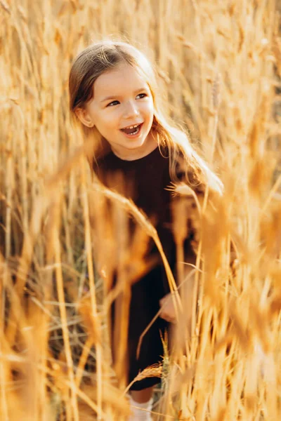 Bonita Menina Anos Caminha Posa Para Uma Foto Campo Trigo — Fotografia de Stock