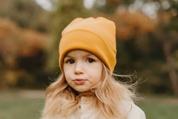 一个可爱的小女孩的画像 她在秋天的公园里散步时微笑着 直视着摄像机 — 图库照片