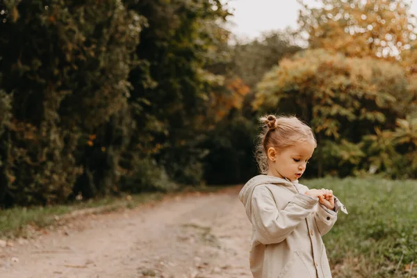 Jesienny Nastrój Portret Małej Uroczej Dziewczynki Spacerującej Jesiennym Parku — Zdjęcie stockowe