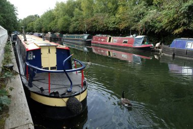 Batchworth Lock, Rickmansworth, Hertfordshire yakınlarındaki Büyük Birlik Kanalı boyunca bulunan dar kayıklar.