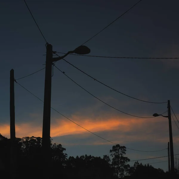 夕暮れ時の電源ラインと影の光と木 — ストック写真