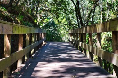 Sistelo yolunda tahta patika