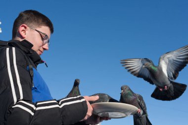 İnsanlar güvercinleri elleriyle besler. İnsanlar kışın şehirde yabani kuşlara bakar ve avuçlarıyla güvercinleri besler. Arka planda, karla kaplı soğuk bir şehir ve mavi bir gökyüzü..