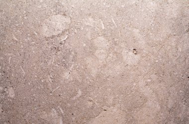 Kabuk taşı kalsiyum tuzundan oluşan bir kireçtaşıdır. İnşaat alanında çok sayıda farklı malzemeler kullanılır. Bunlardan biri deniz kabuğu. Calcareous, ince-gözenekli hamile kabuk, simetrik olarak spiral 