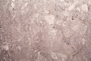 Kabuk taşı kalsiyum tuzundan oluşan bir kireçtaşıdır. İnşaat alanında çok sayıda farklı malzemeler kullanılır. Bunlardan biri deniz kabuğu. Calcareous, ince-gözenekli hamile kabuk, simetrik olarak spiral 