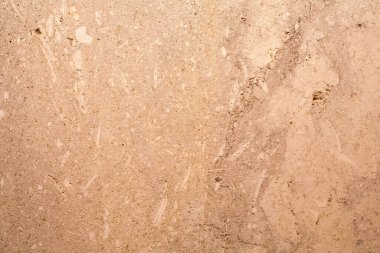 Kabuk taşı kalsiyum tuzundan oluşan bir kireçtaşıdır. İnşaat alanında çok sayıda farklı malzemeler kullanılır. Bunlardan biri deniz kabuğu. Calcareous, ince-gözenekli hamile kabuk, simetrik olarak spiral 