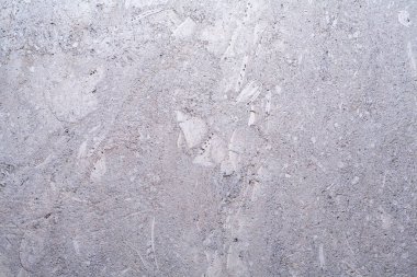 Kabuk taşı kalsiyum tuzundan oluşan bir kireçtaşıdır. İnşaat alanında çok sayıda farklı malzemeler kullanılır. Bunlardan biri deniz kabuğu. Calcareous, ince-gözenekli hamile kabuk, simetrik olarak spiral 