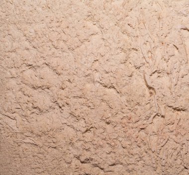 taşlaşmış kabuk, kaya, tortul kaya