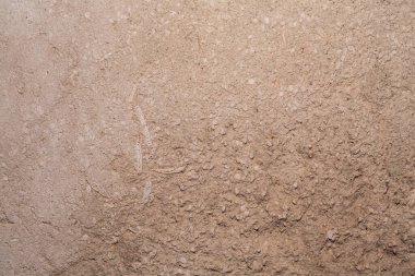 taşlaşmış kabuk, kaya, tortul kaya