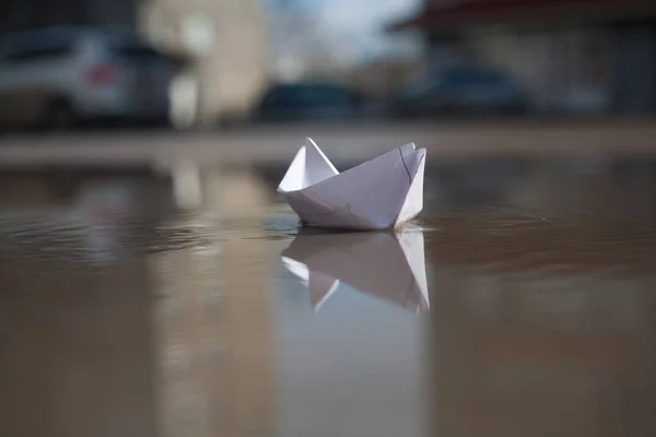 A boat of documents floats in the spring on a puddle in the city