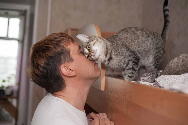 Ένας Άντρας Αγαπάει Γάτα Του Εικόνα Αρχείου
